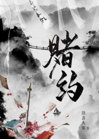 赌约完整版视频